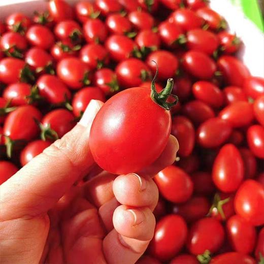 【广东茂名电白千禧】2斤/3斤/5斤 皮薄柔嫩，纯粹自然 商品图3