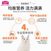 麦富迪 藻趣儿全价猫粮蓝猫英短美短美毛靓肤猫粮 藻趣儿(三文鱼味)幼猫1.5KG 商品缩略图4
