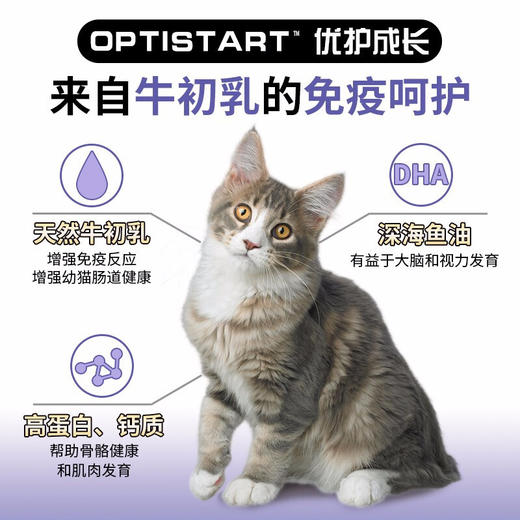 冠能猫粮幼猫怀孕哺乳期全价猫粮 牛初乳配方400g 商品图3