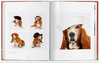 【现货】【TASCHEN】Walter Chandoha. Dogs Photographs 1941–1991，沃尔特·尚多哈:狗狗摄影集 商品缩略图4