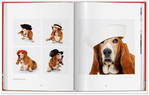 【现货】【TASCHEN】Walter Chandoha. Dogs Photographs 1941–1991，沃尔特·尚多哈:狗狗摄影集 商品图4