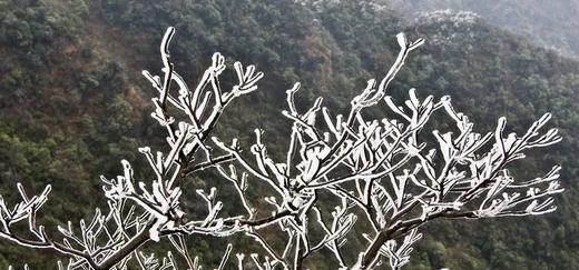 12.12确定出发【广西】华南之巅*猫儿山邂逅最美双子座流星雨4天精品小团 商品图3