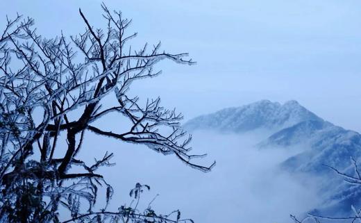 1.23确定出发【广西】华南之巅*猫儿山雾凇赏雪4天精品小团 商品图2