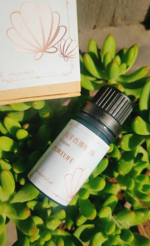 新品上架啦~【纯妧手工坊】进口兰栀/忍冬花/海洋/薰衣草鹅梨帐中香/芍药/蓝风玲/鼠尾草/空谷幽兰香薰精油礼盒 商品图4