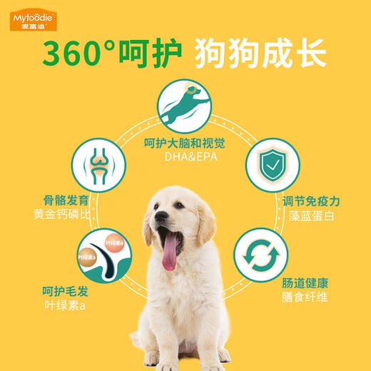 麦富迪狗粮 藻趣儿牛肉螺旋藻狗粮 金毛泰迪狗粮 藻趣儿幼犬粮2.5kg 商品图2