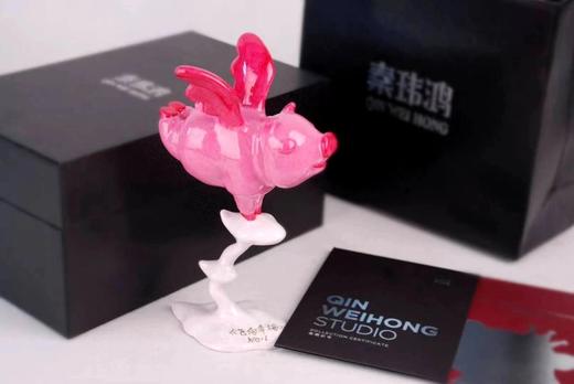 飞向幸福-小号-秦玮鸿 商品图1