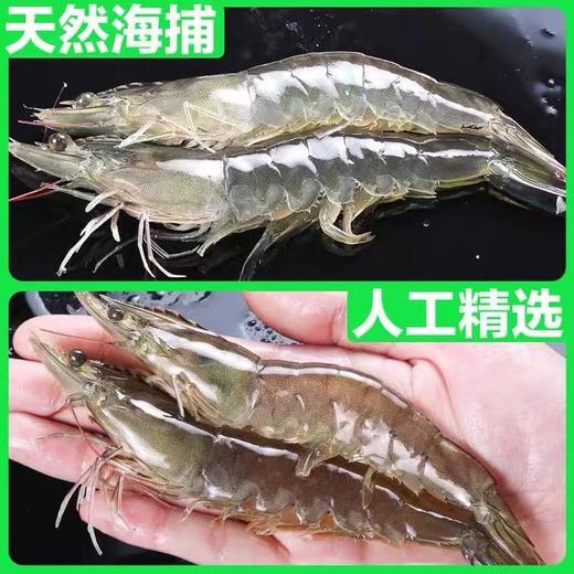 国产速冻大青虾/盒 净重3.4斤左右 商品图2