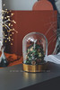 永生花玻璃罩🌲许愿圣诞灯树 商品缩略图2