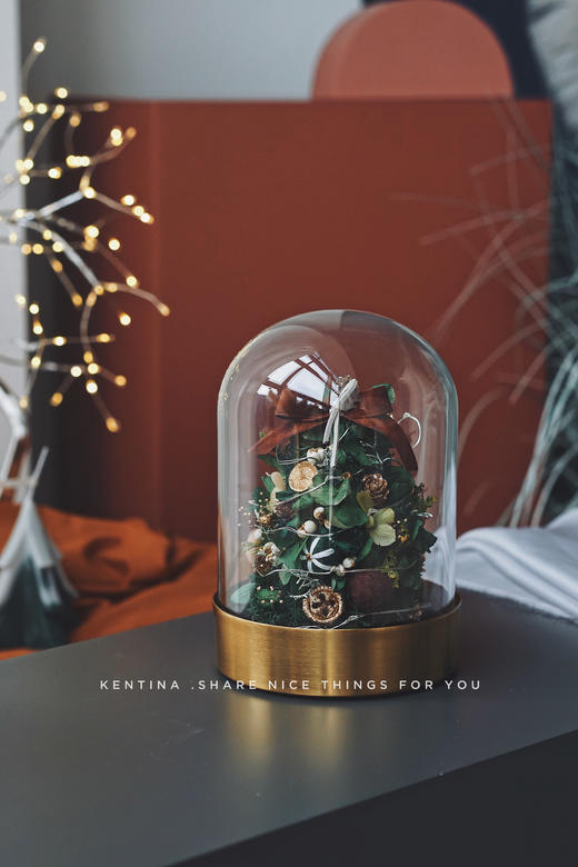 永生花玻璃罩🌲许愿圣诞灯树 商品图2