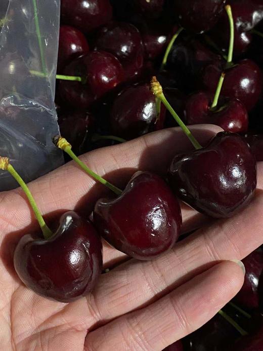 周六取货：【莲花桑提娜双J加黑车厘子】一箱毛重5斤左右，颜色黑，硬度高！嘎嘣脆！！ 商品图2