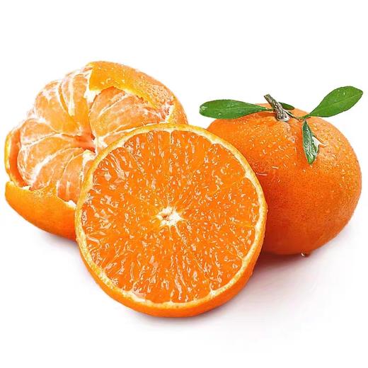 活动沃柑3.98 商品图0