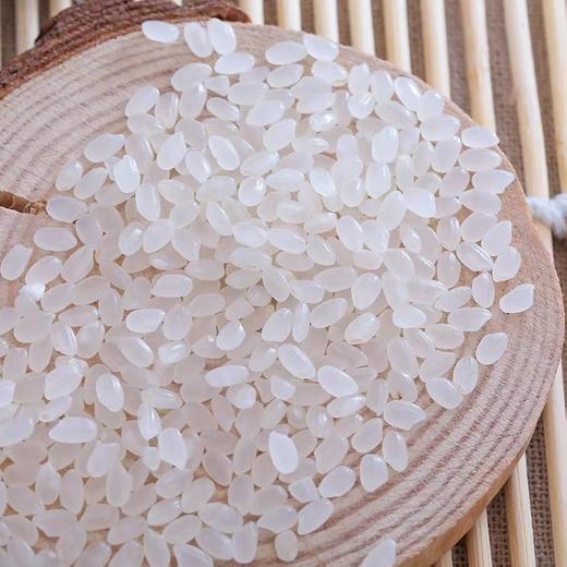 懒鬼当家一品小町大米10kg 商品图1