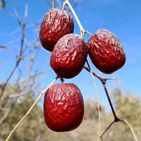 无硫红枣 自然干 口感香甜