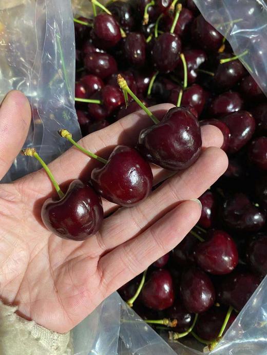 周六取货：【莲花桑提娜双J加黑车厘子】一箱毛重5斤左右，颜色黑，硬度高！嘎嘣脆！！ 商品图3