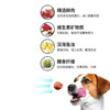 顽皮狗粮双拼风干牛肉风干鸡肉成犬幼犬幼犬通用全价全期粮1.5kg 商品缩略图5