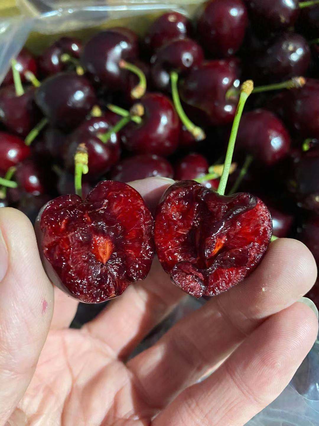 周五取货：（莲花桑提娜双J加黑车厘子）一箱毛重5斤左右，颜色黑，硬度高！嘎嘣脆！！