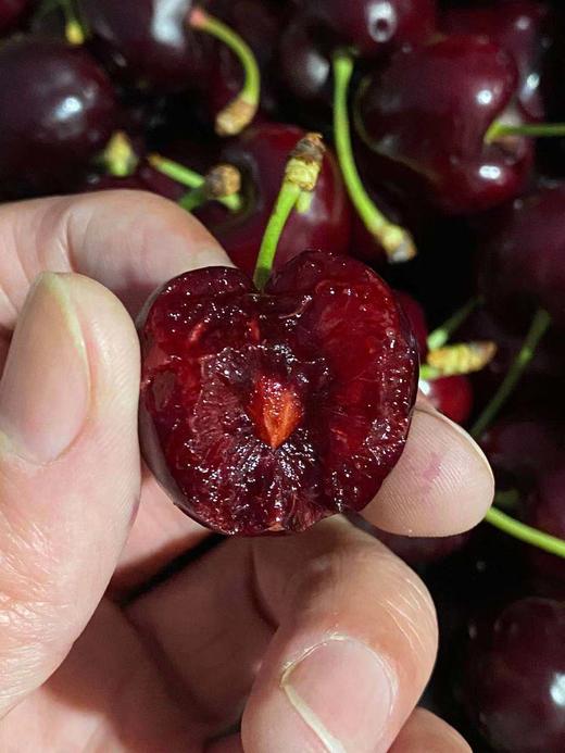 周六取货：【莲花桑提娜双J加黑车厘子】一箱毛重5斤左右，颜色黑，硬度高！嘎嘣脆！！ 商品图1