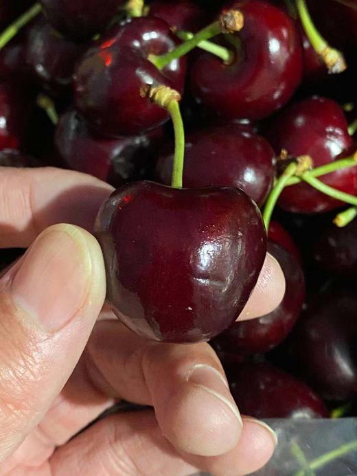 周六取货：【莲花桑提娜双J加黑车厘子】一箱毛重5斤左右，颜色黑，硬度高！嘎嘣脆！！ 商品图4