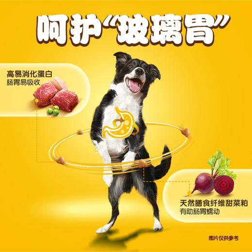 宝路牛肉味成犬狗粮1.8kg 商品图2
