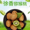 【9.9元2斤】徐香猕猴桃（1501108） 商品缩略图0