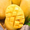 海南 高乐蜜芒果1个/约500g 商品缩略图2
