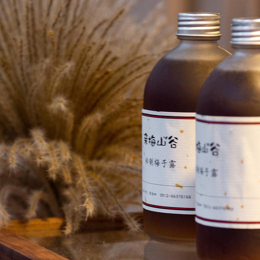 〔苏州直发包邮32〕秘制青梅露/梅子 商品图5