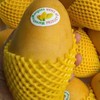 海南 高乐蜜芒果1个/约500g 商品缩略图1