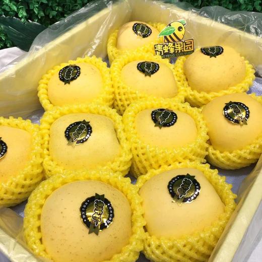 特级正品黄胖子维纳斯苹果1个装约240g