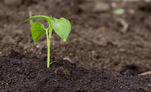 阴雨雪天气后的管理 商品图0