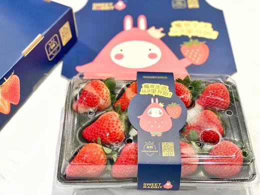 【央视推荐】金色庄园 莓小兔 金钻丹东草莓礼盒装      香甜多汁 安全健康宝宝孕妇水果 商品图6