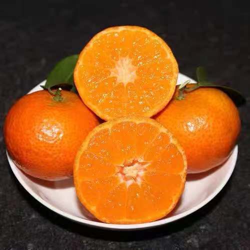 纯甜 正宗广西砂糖橘1份 1500g 商品图2