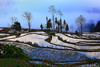 云南油菜花海A线——建水•元阳梯田•东川红土地•碧色寨•城子古村•罗平油菜花海9天 商品缩略图9