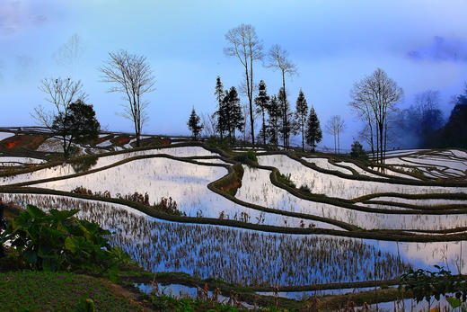 云南油菜花海A线——建水•元阳梯田•东川红土地•碧色寨•城子古村•罗平油菜花海9天 商品图9