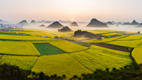 云南油菜花海A线——建水•元阳梯田•东川红土地•碧色寨•城子古村•罗平油菜花海9天