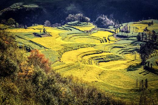 云南油菜花海A线——建水•元阳梯田•东川红土地•碧色寨•城子古村•罗平油菜花海9天 商品图2