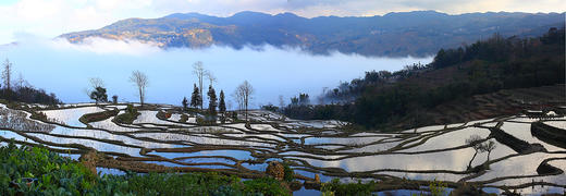 云南油菜花海A线——建水•元阳梯田•东川红土地•碧色寨•城子古村•罗平油菜花海9天 商品图12