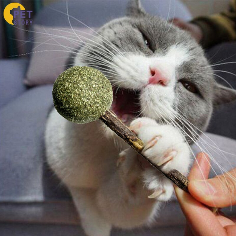 猫薄荷球棒棒糖零食玩具5g