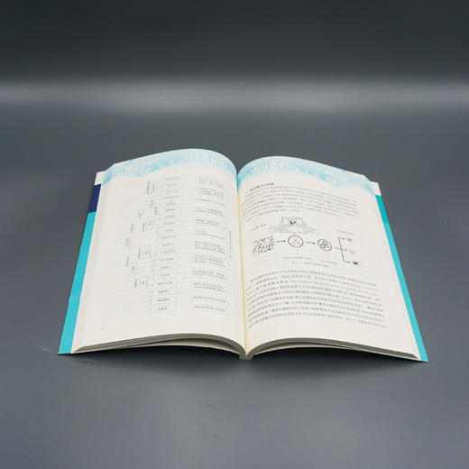 信息分析实验教程 商业分析 实验指导用书 正版 华东师范大学出版社 商品图3