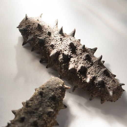 宜样新滋补 海之参a款淡干海参山东威海干货刺参干海参220g