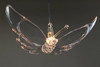 蝴蝶吊灯【运费自理】 商品缩略图3