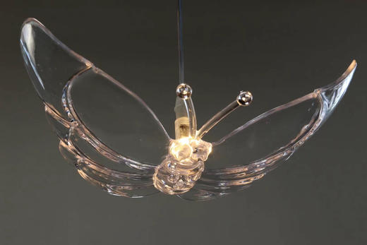 蝴蝶吊灯【运费自理】 商品图3