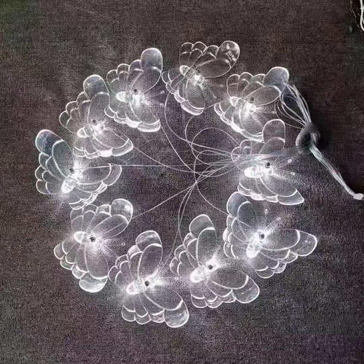 蝴蝶吊灯【运费自理】 商品图5