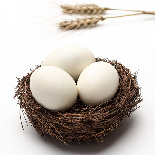 临泉农家腌制咸鸭蛋草木灰腌制流油咸鸭蛋 商品图3