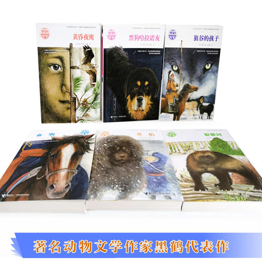 黑鹤动物文学精品系列 清华附小校长窦桂梅动情推荐 商品图4