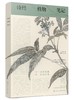 诗经植物笔记  韩育生 诗意解析 源流考证 植物性状读诗感悟书籍 诗经植物笔记体读本 植物之美 中国古典文化读物赏析 商品缩略图0