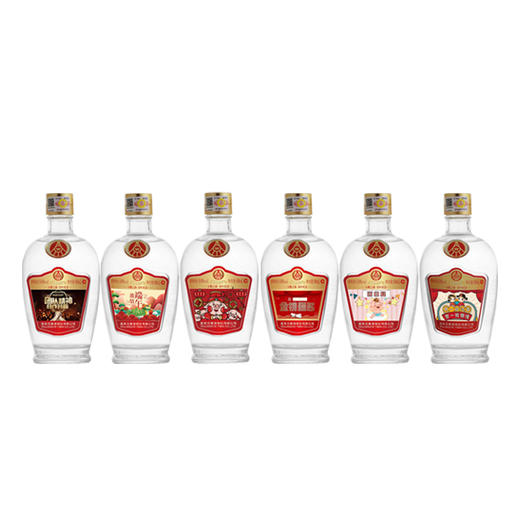 （整箱）五粮之旅·景区纪念（光瓶） 个人定制版 50度 500mL*6瓶 商品图0