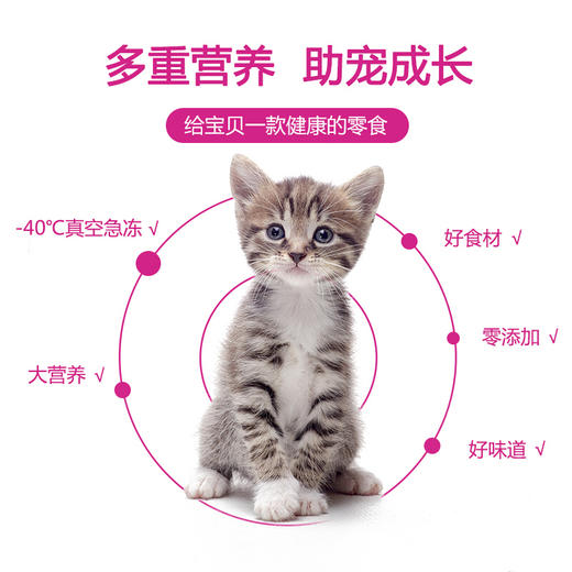 麦富迪猫零食鲜肉冻干成幼猫咪宠物零食鸡肉味54g 商品图3