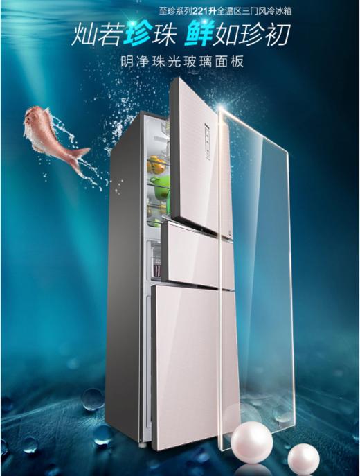 海尔（Haier）冰箱BCD-221WDECU1 商品图0