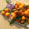黄金桔 500g 商品缩略图0