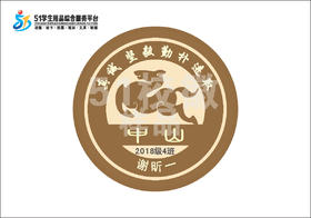 定制深圳市坪山中山小学熨烫校徽定做布标姓名贴胸章可缝制包邮51